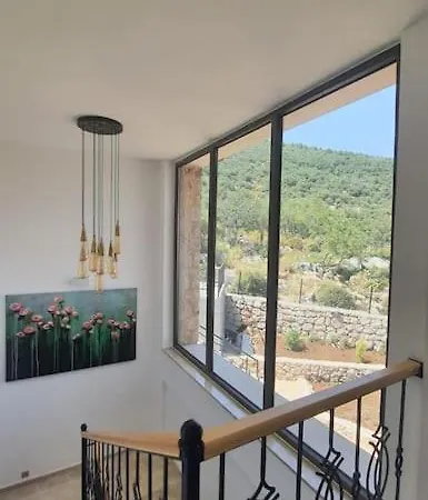 Elit Serenity *